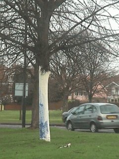 White Tree